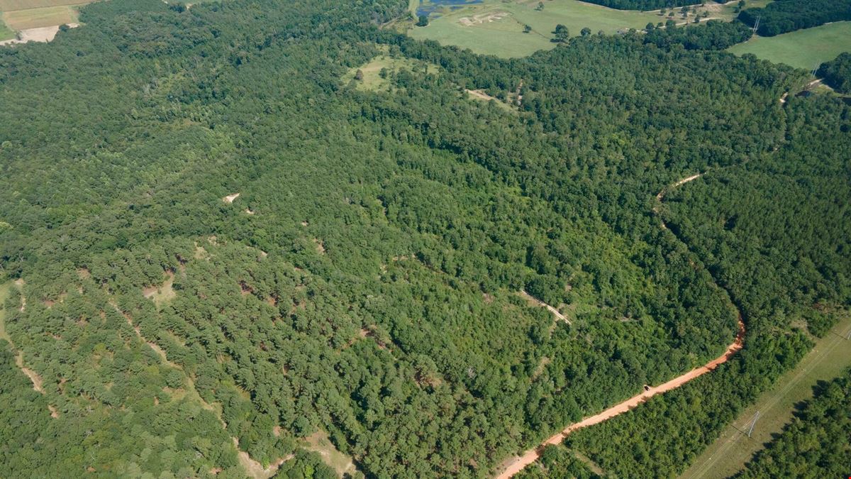 ±34 Acres | Salley, SC