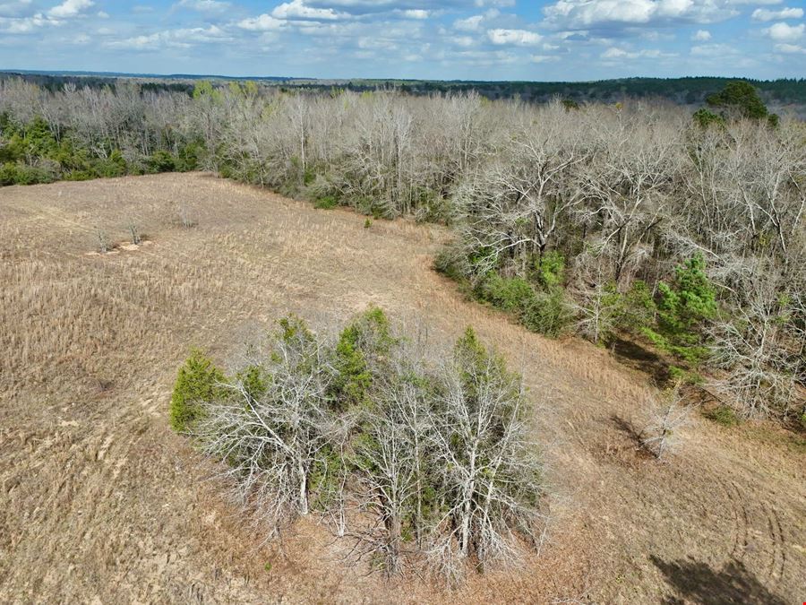 Everly Place Homesite