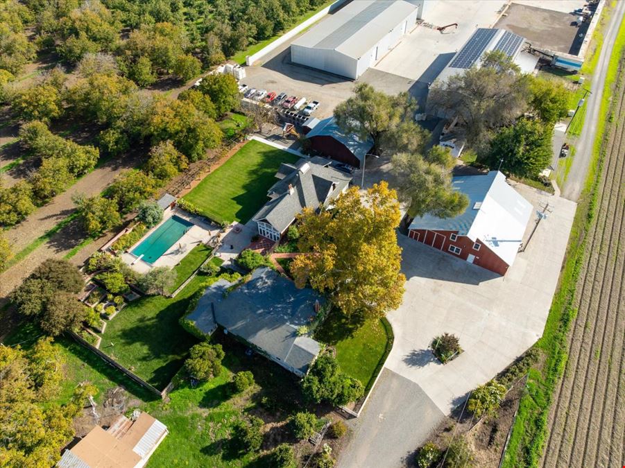 Organic Walnut Orchard & Processing Facility