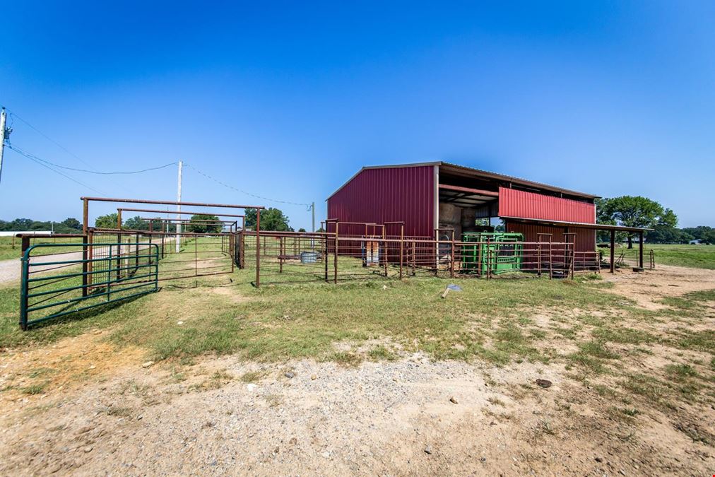 Hope Arkansas Chicken Farm