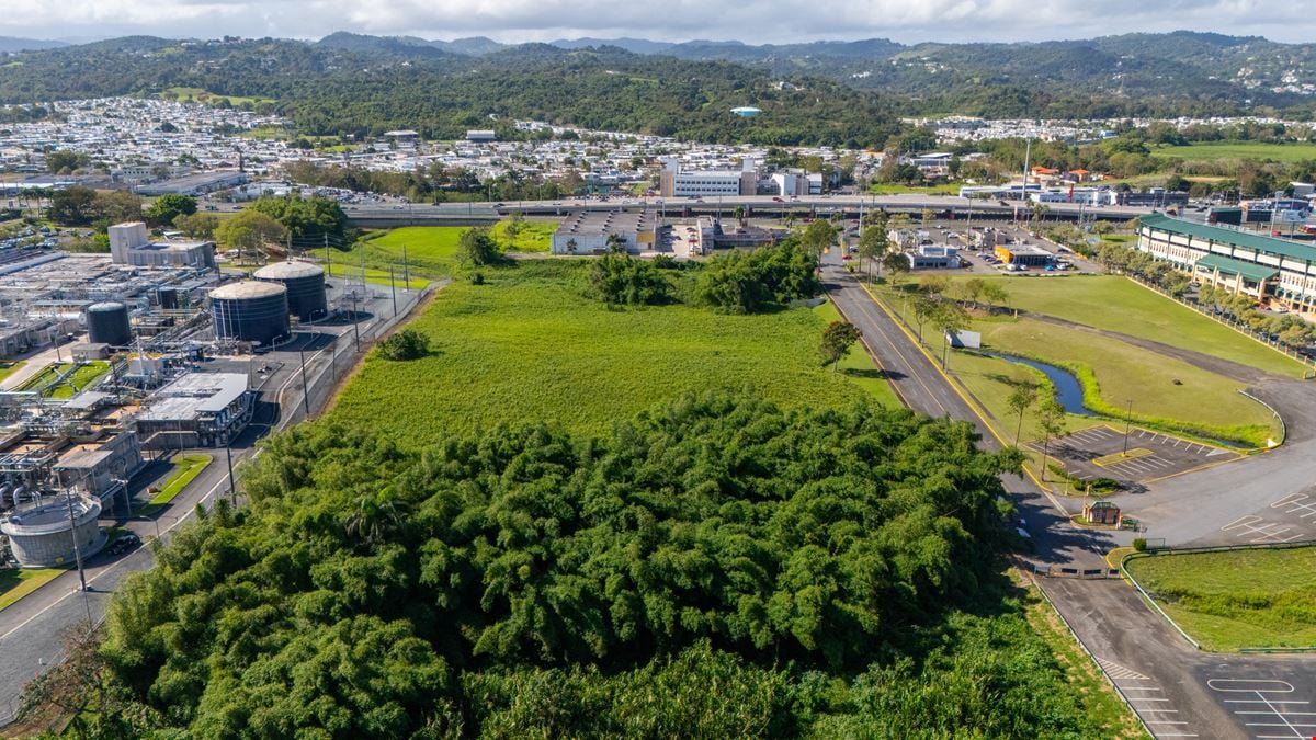 Carolina Prime Commercial Land - North of PR-3 - For Sale