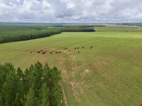 10 Shy Ranch and Timber