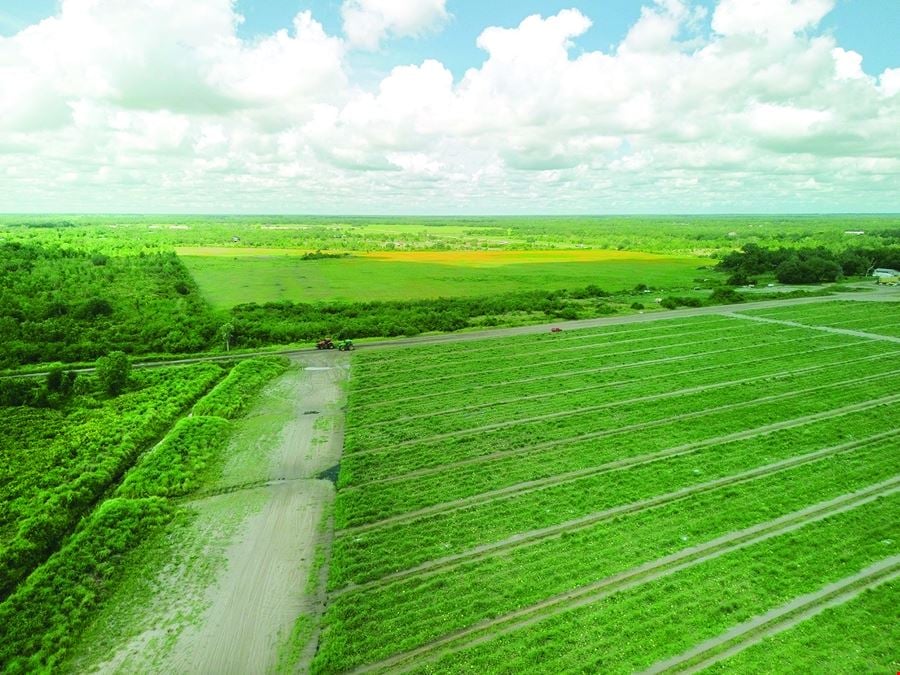 Manatee County Farm Land