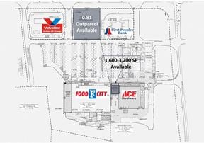 Inline Space Available – Revitalized Food City Shopping Center on Asheville Hwy