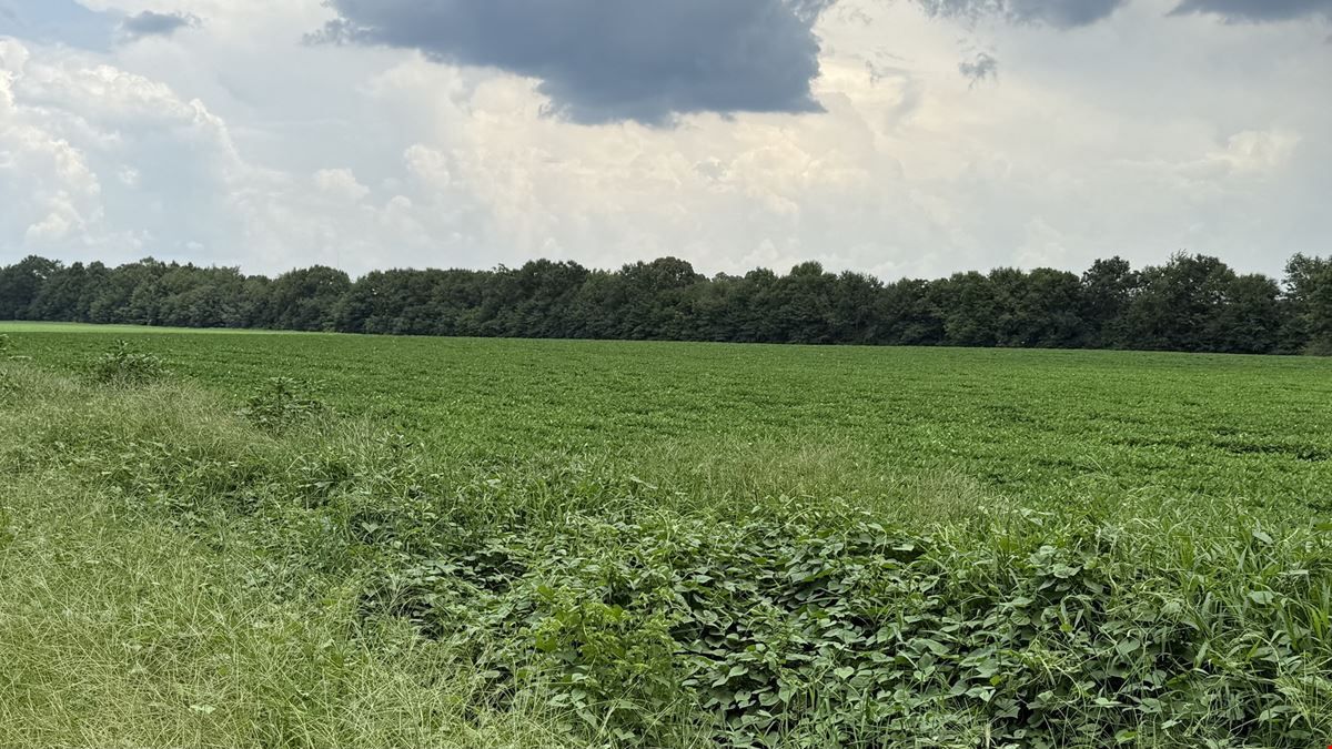 17.6-Acre Opportunity – Mixed-Use Zoning in Dothan, AL