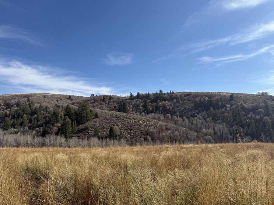 694.8 Acres TBD West Pocatello Creek Road