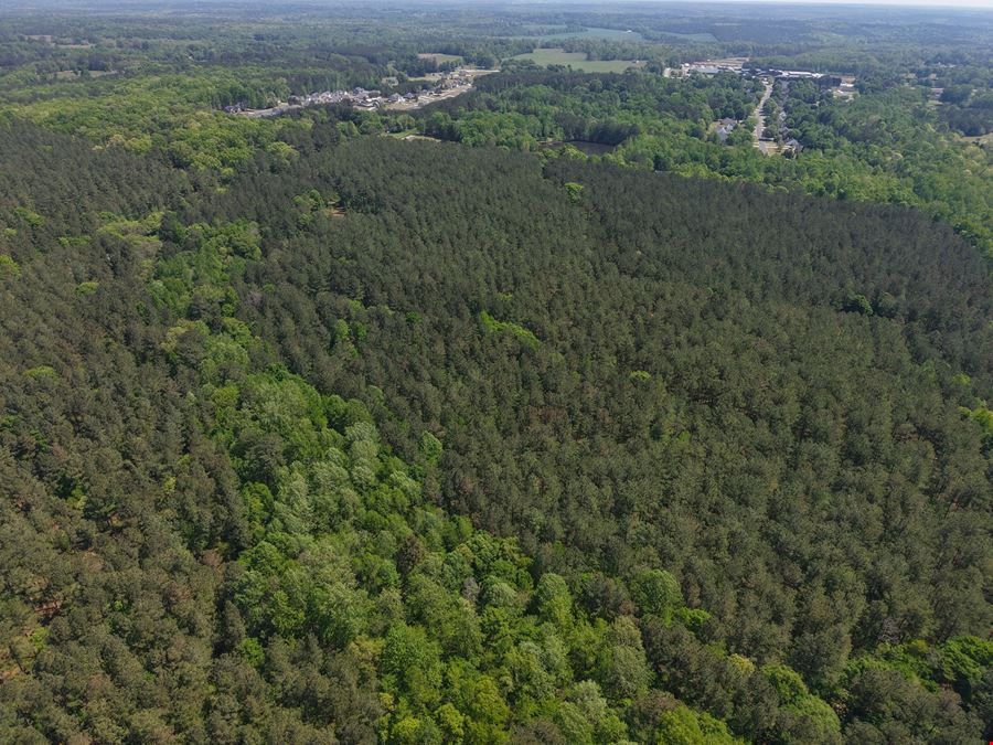 225.48 Acres - Picketts Bridge Estates