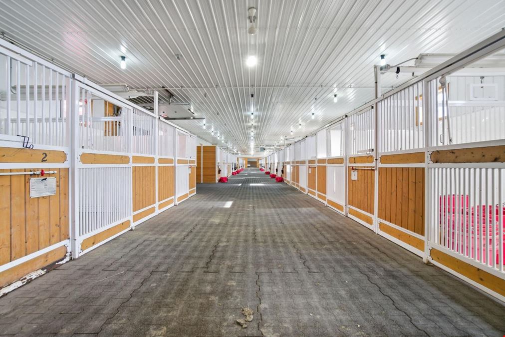 World-Class Equestrian in Central Alberta (Canada)