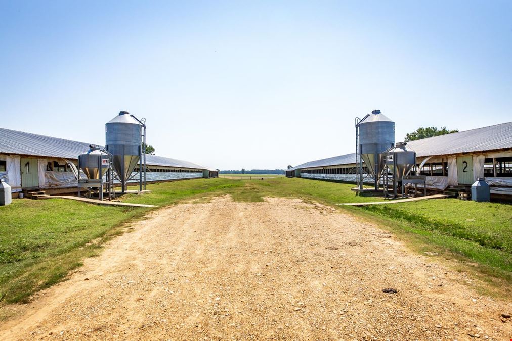 Hope Arkansas Chicken Farm