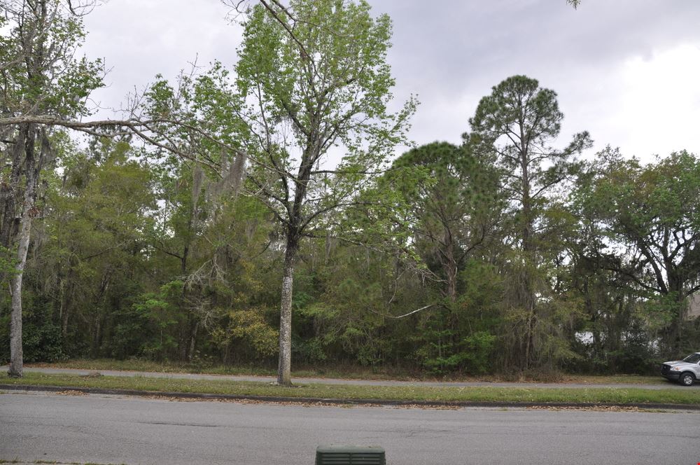 Hernando County Development Land