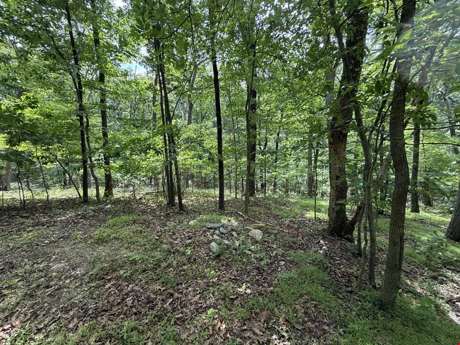 Shannondale Parcels