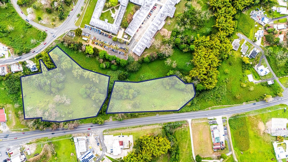 Prime Commercial Land in San Sebastian with Frontage To PR-111 - For Sale