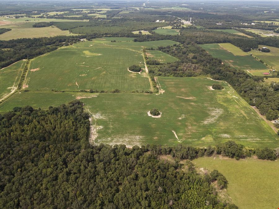 305.50 Acres Campbellton Land Development Opportunity