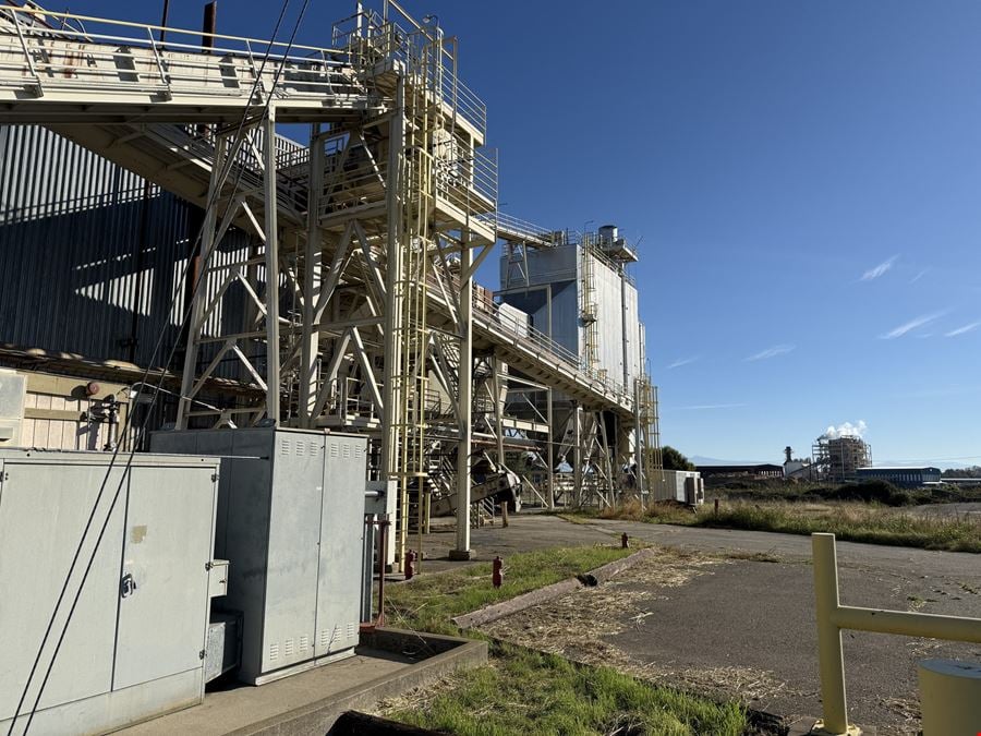 Biomass Co-Generation Plant: Grid Ready / Carbon-Negative Potential