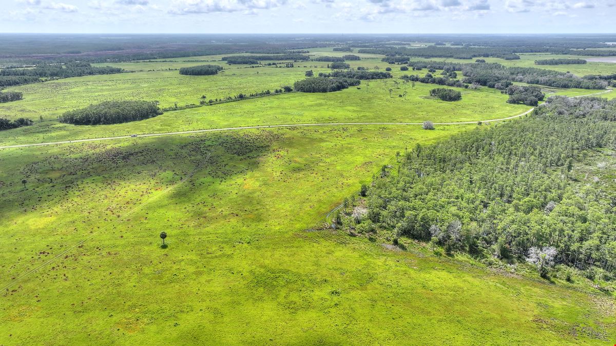 Osceola County Hunting & Recreational Tract