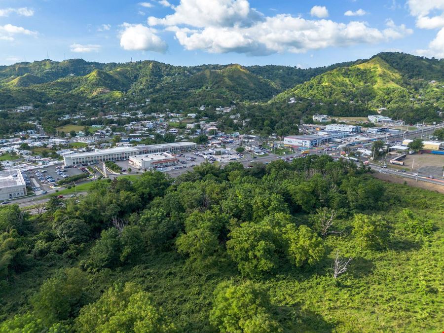 Bo Quebrada Larga, Fincas E y T Anasco