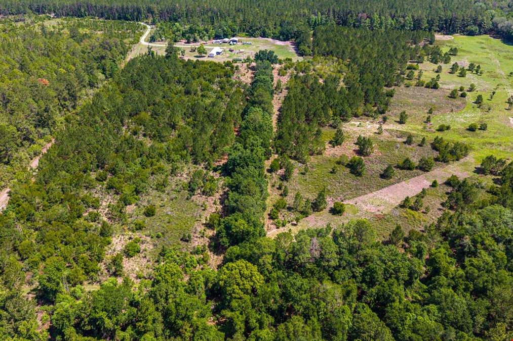East Alachua County 35 Acre Recreation Tract