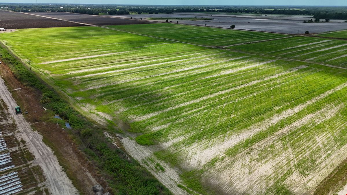 West Wauchula Farm