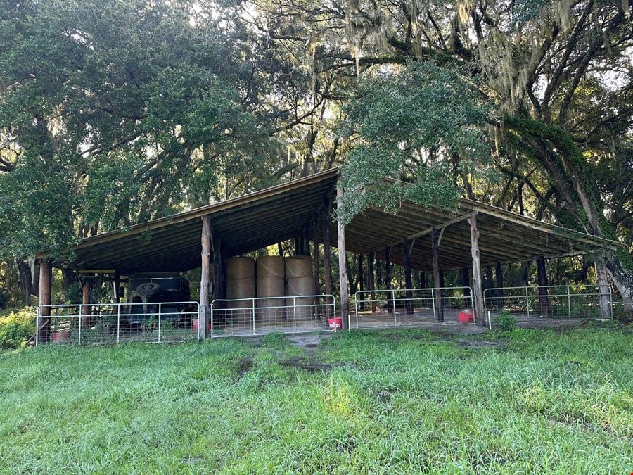 Hawthorne Trail Ranchette and Homesite