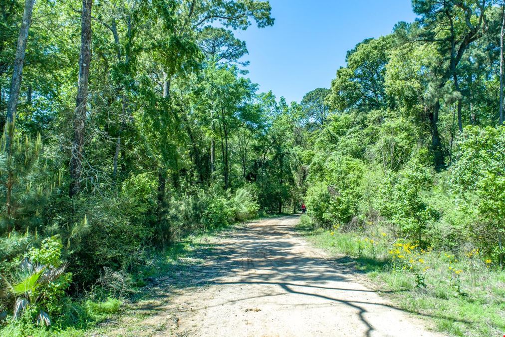 965 South Pine Lake Road