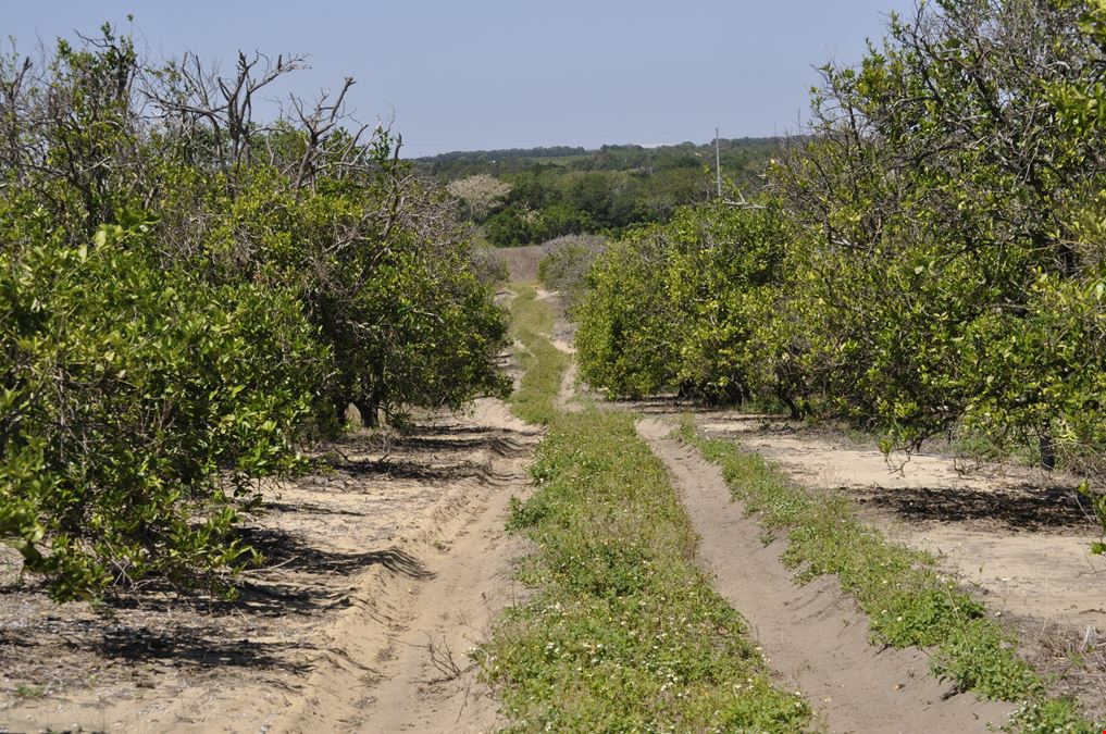 Garfield Nursery Road 20 Acres