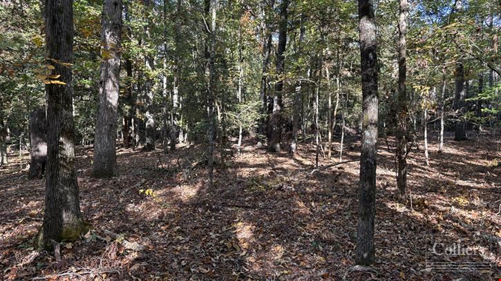 ±116.15-Acre Tract for Sale - 35 Minutes to Downtown Greenville