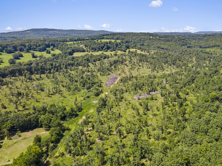 Letitia Lane - Greenland Acreage