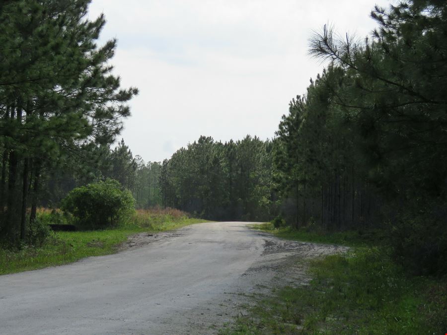 McGee Branch East Tract