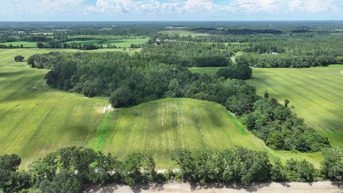 Graceville Duck Pond Farmland