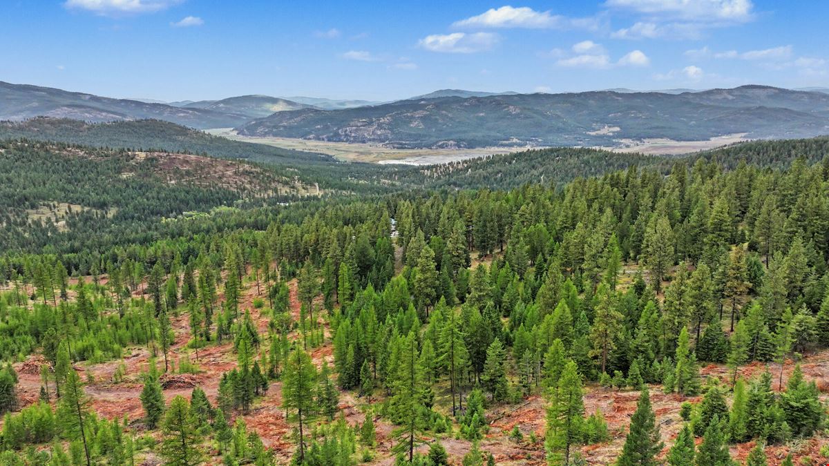 320 Private Wooded Acres West of Kalispell, Montana
