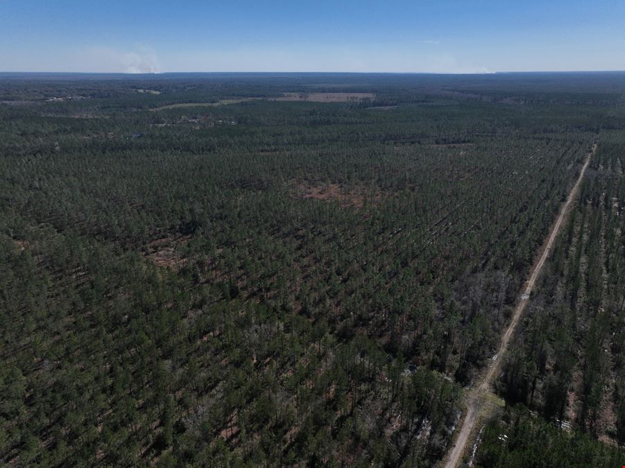Palatka 356 Ac Development Tract