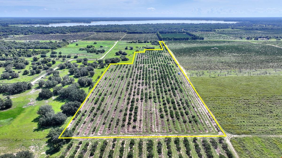 St. Helena Road 20 Acre Grove