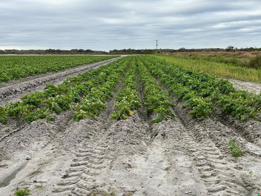 Hyatt Farms at Lake Kissimmee 1,660 +/- Acres