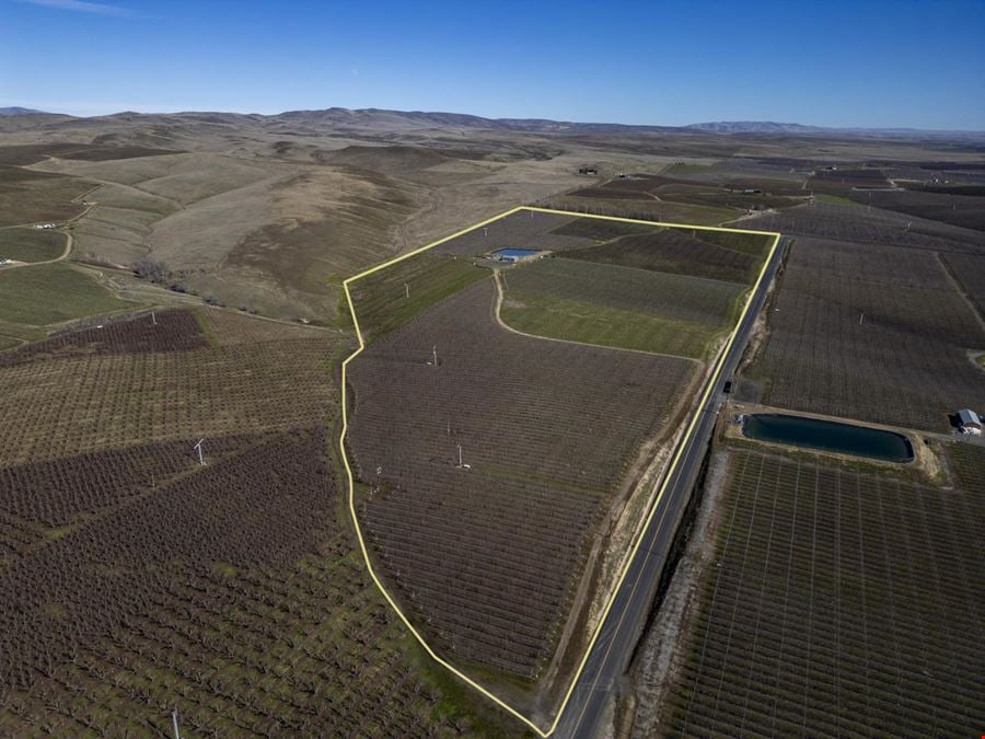 Occidental Orchards