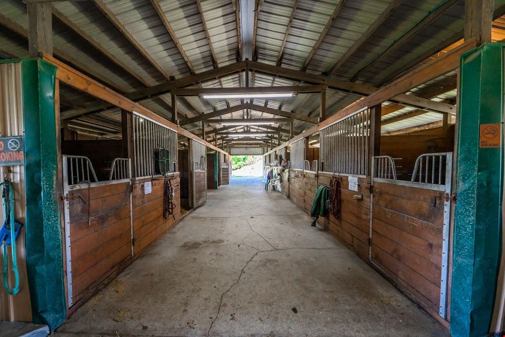 Serendipity Stables