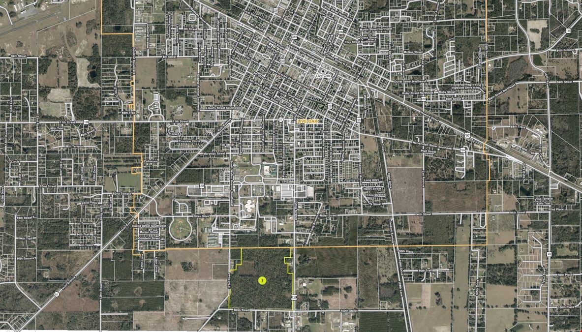 Live Oak 145 Acre Development Parcel