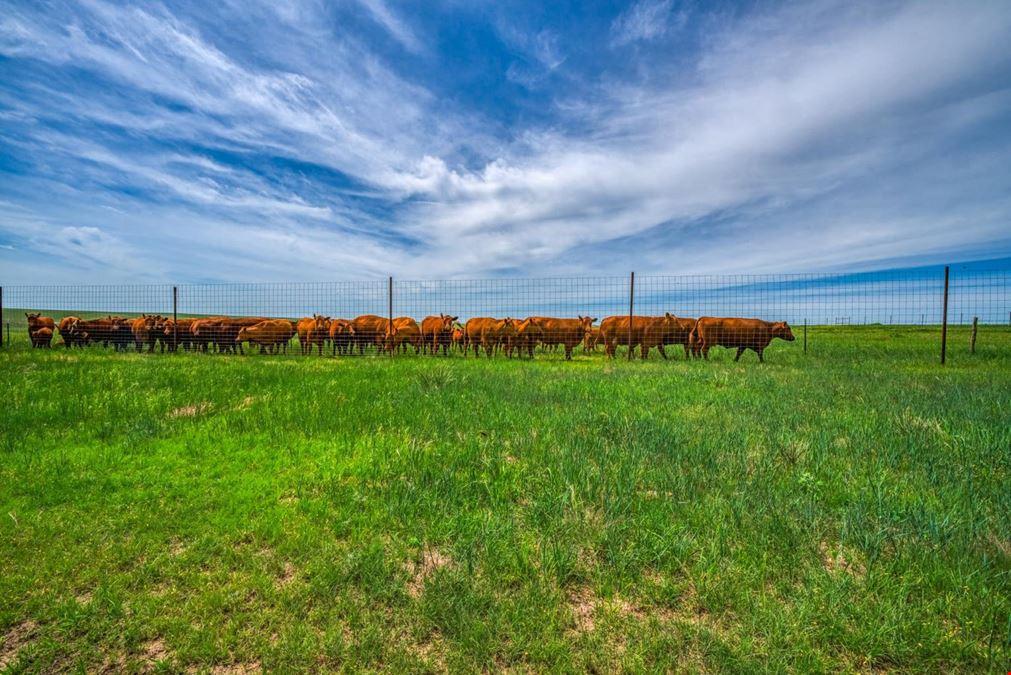 ±1,320 Acre High Fence Hunting and Agricultural Ranch in Jennings, Kansas