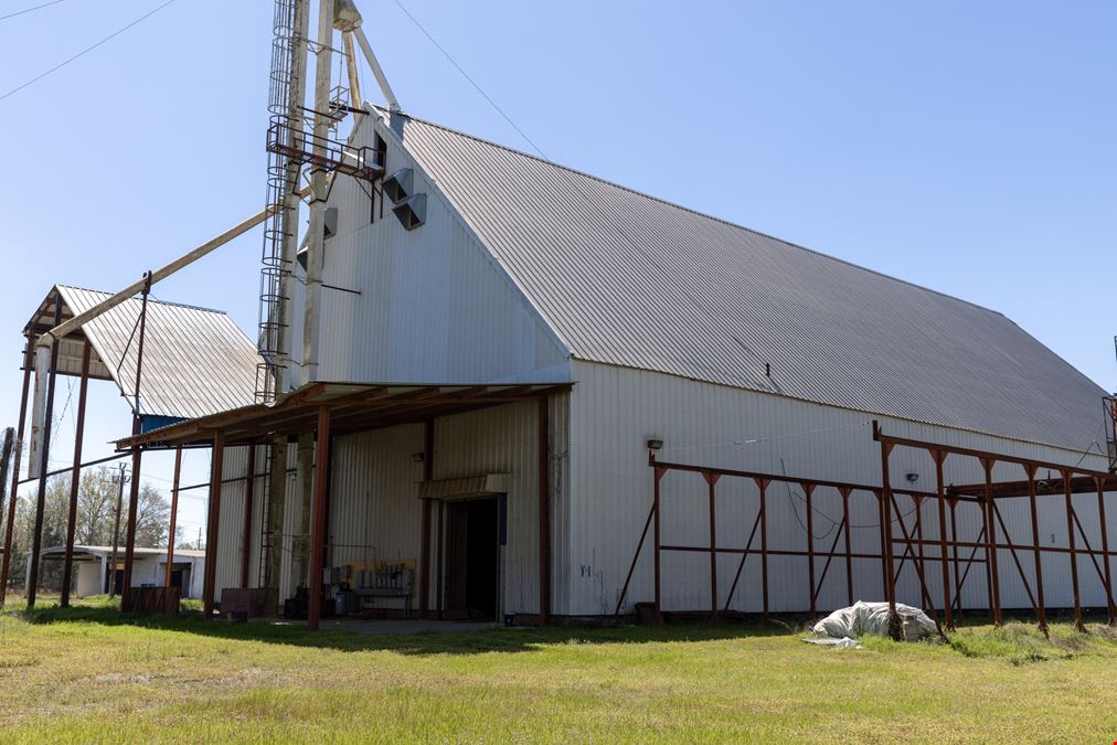 Georgia Peanut Buying Point