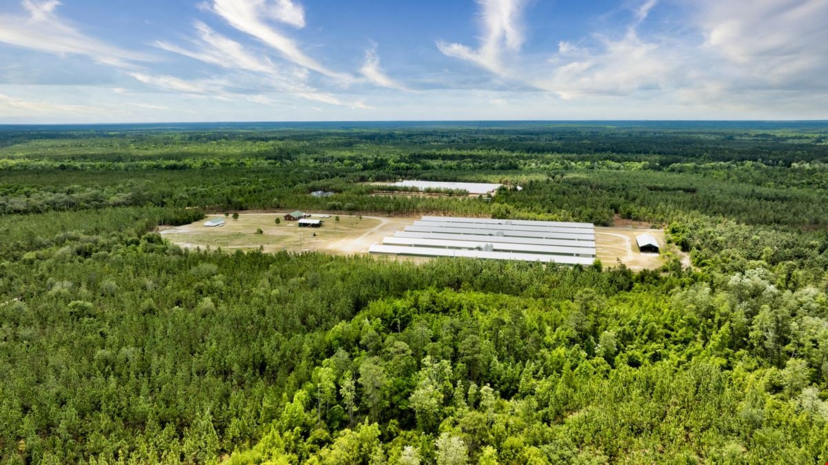 Timber Ridge Farm