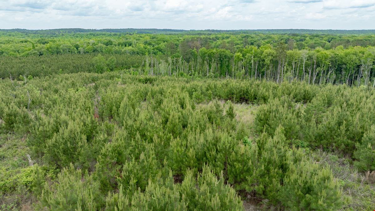 Buck Creek Hunting Property