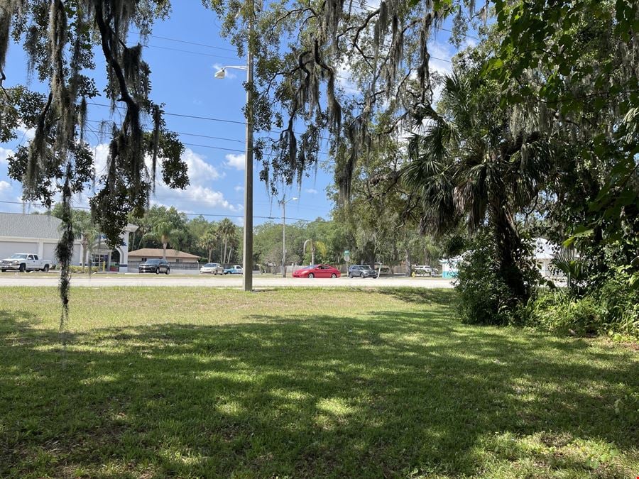 Stunning Wooded Lot with Old Florida Charm