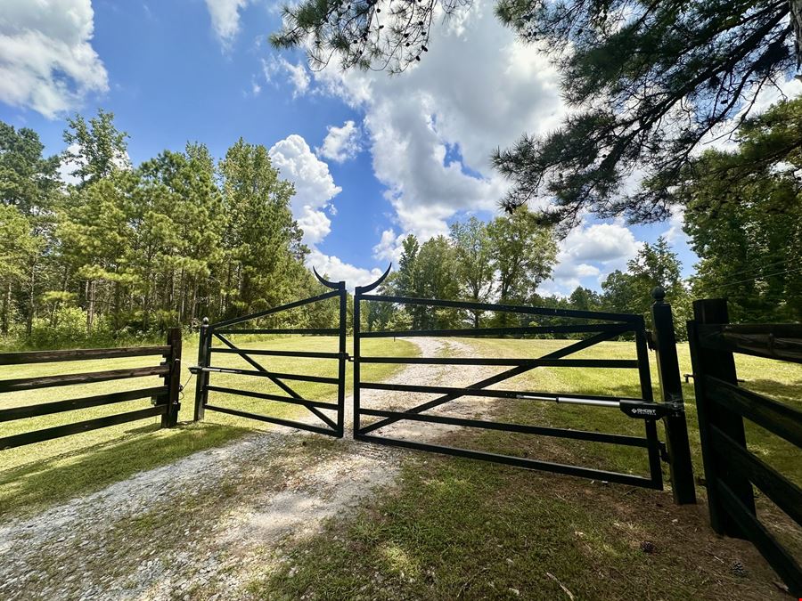 The Bull's Pen