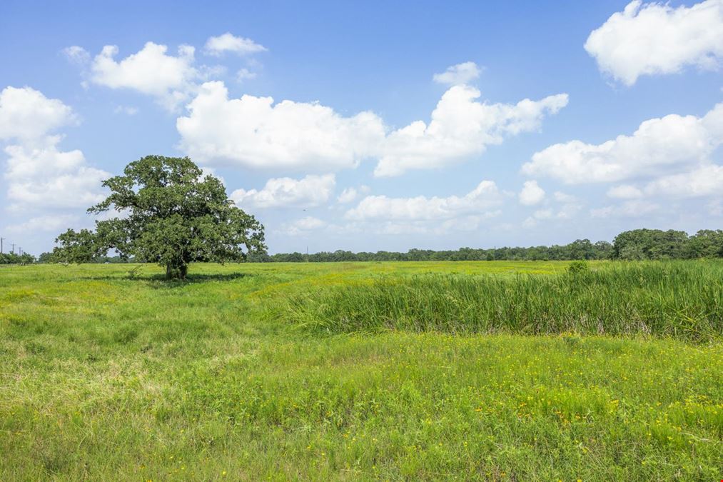 TBD Hopes Creek Road - 40 Acres