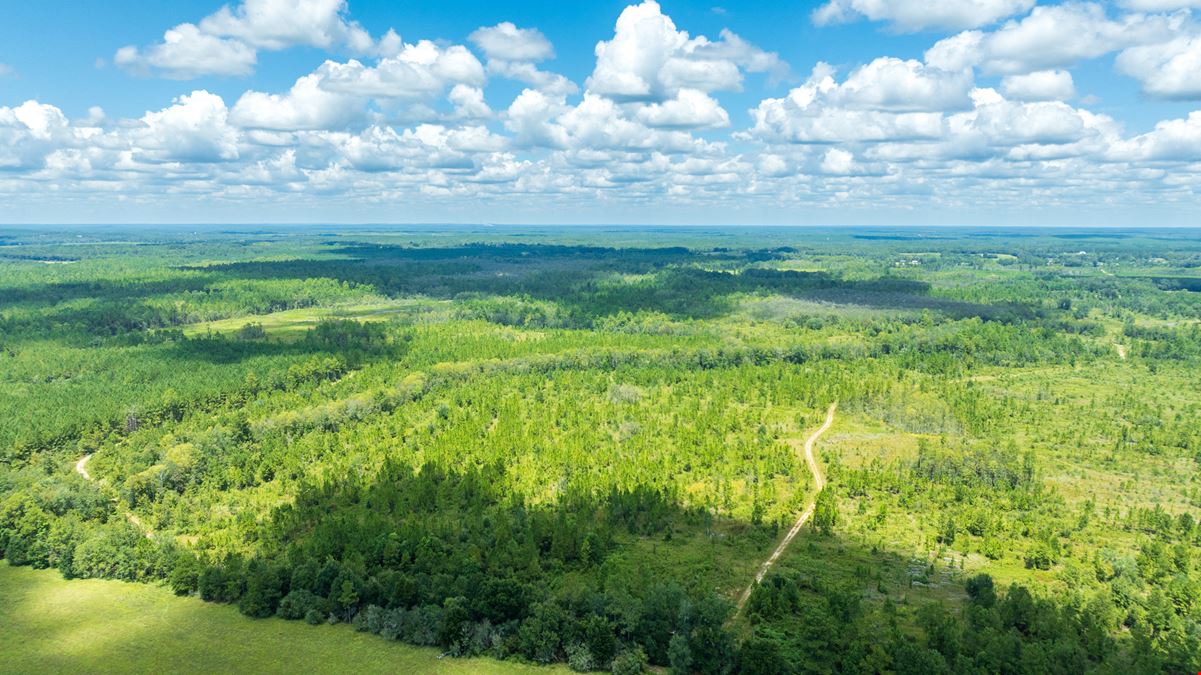 Panhandle Farm and Timberland