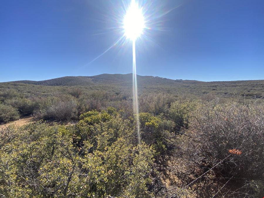 Arizona Land No Reserve Land Auction