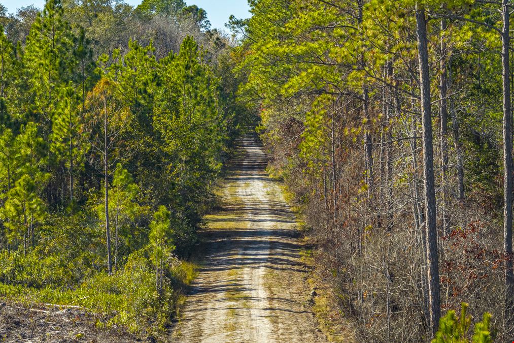 Clay County Timber and Recreation