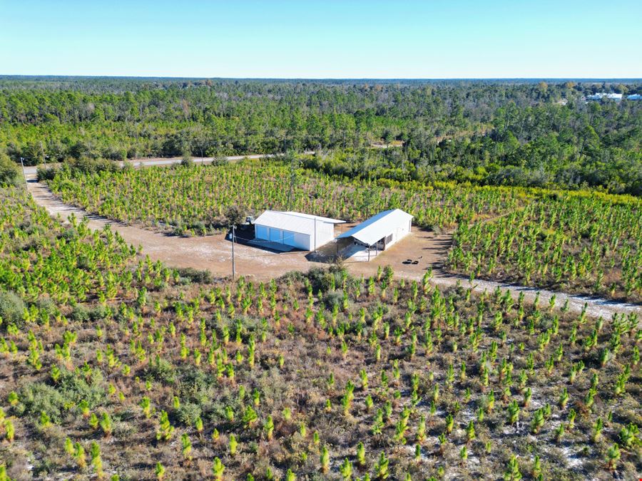 202 Acres in Northwest Florida –Timber, Hunting & Coastal Access