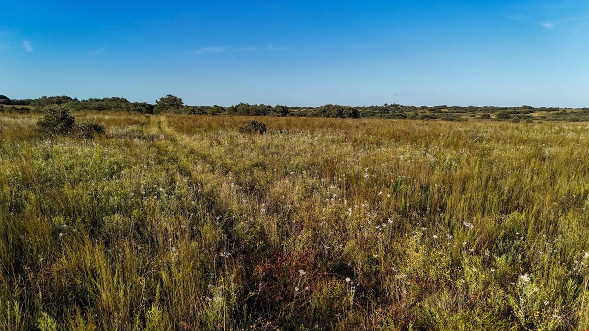160 Acres in Dickens County