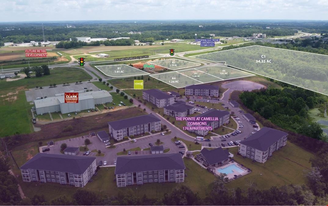 Camellia Commons- Land Available for Sale/Lease