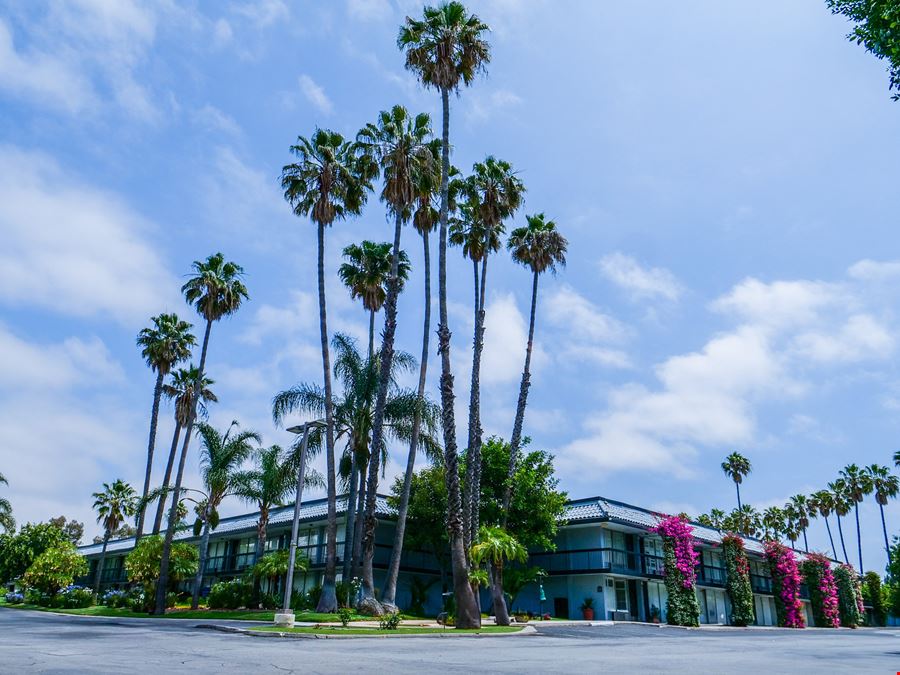 Palm Garden Hotel